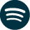 Spotifiy icon
