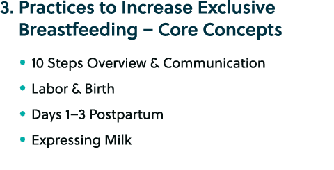 3. Practices to Increase Exclusive Breastfeeding – Core Concepts • 10 Steps Overview & Communication • Labor & Birth ...