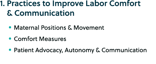 1. Practices to Improve Labor Comfort & Communication • Maternal Positions & Movement • Comfort Measures • Patient Ad...