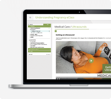 Understanding Pregnancy eclass shown on a laptop product image