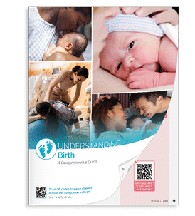 A book about birth and newborns. Description generated by AI